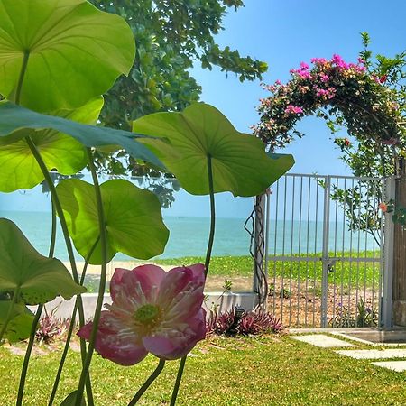 Smell rose beach garden Batu Feringgi Buitenkant foto