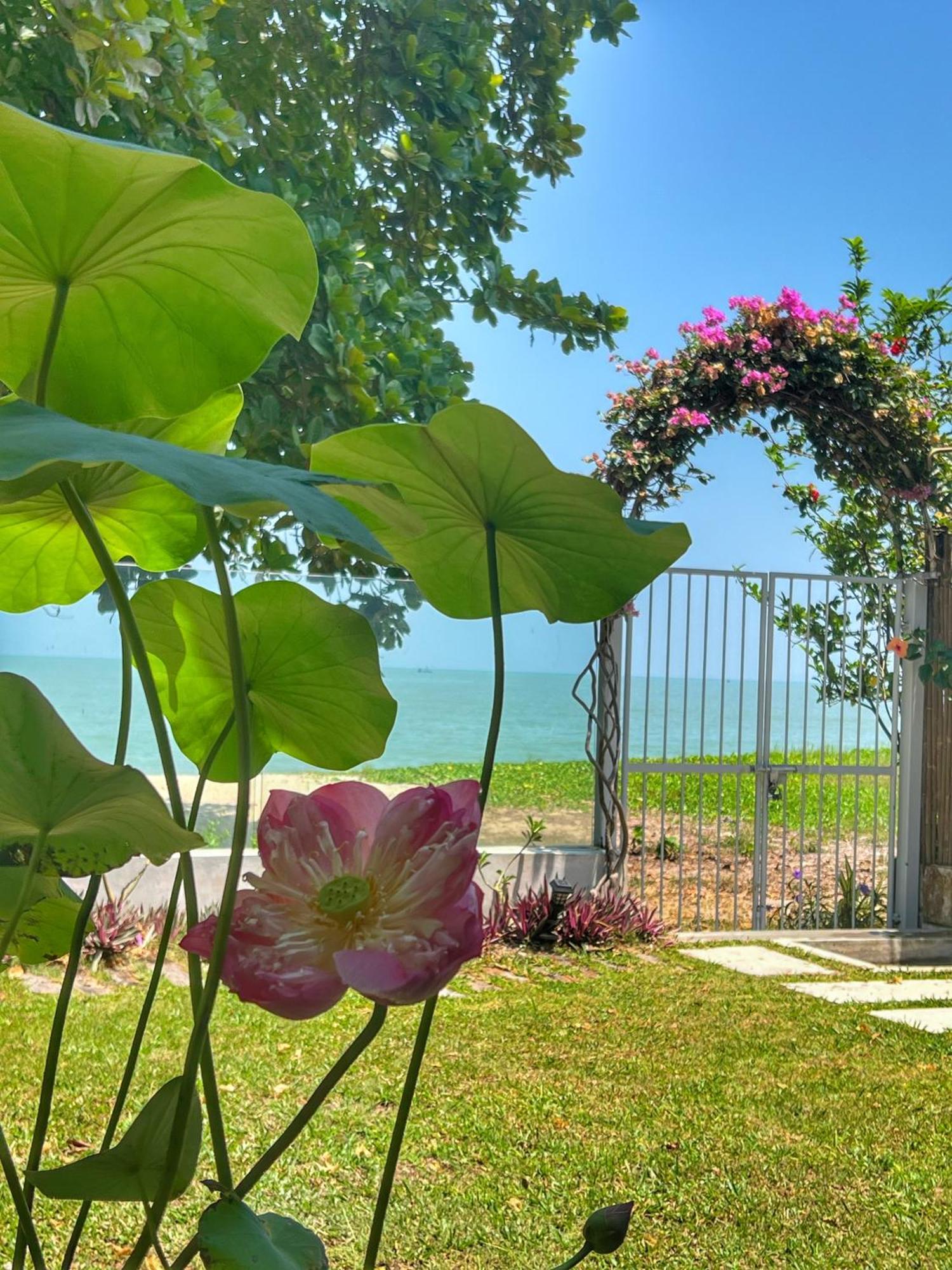 Smell rose beach garden Batu Feringgi Buitenkant foto
