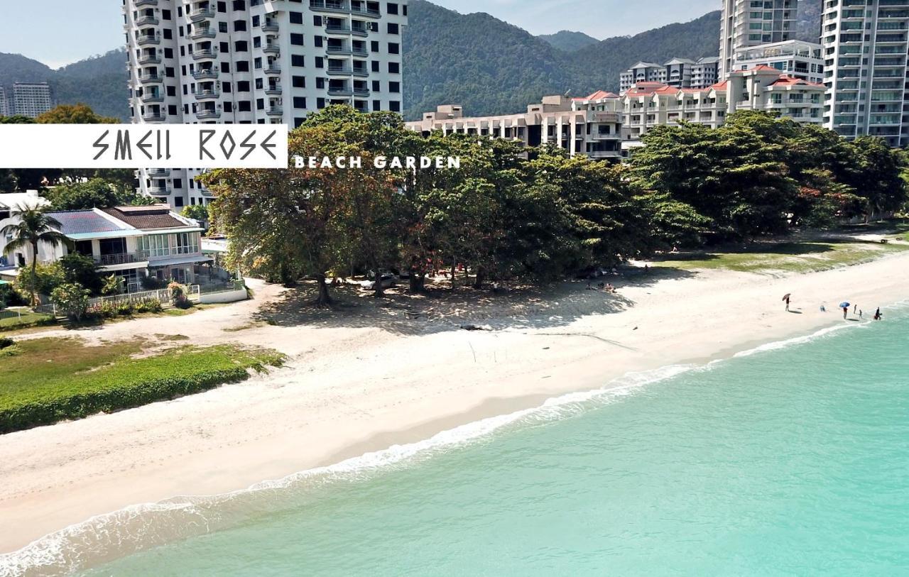 Smell rose beach garden Batu Feringgi Buitenkant foto